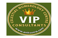 VIP Consultant 