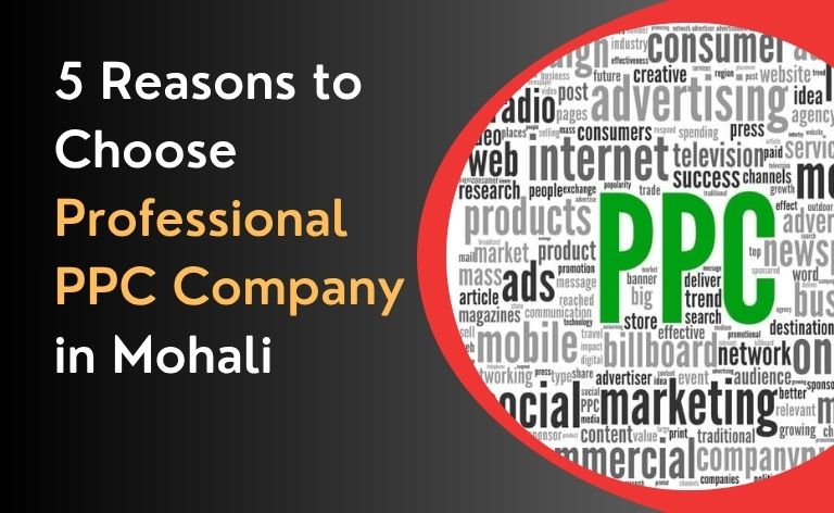 5 Reasons to Choose Professional PPC Company in Mohali